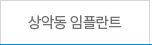 상악동 임플란트