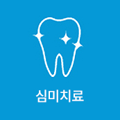 심미치료