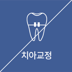 치아교정