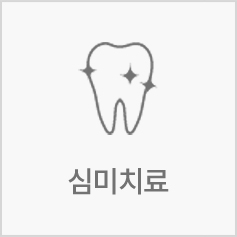 심미치료