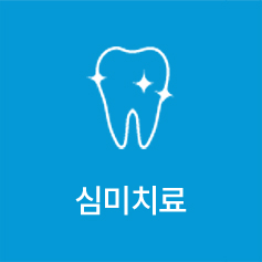 심미치료