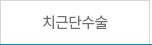 치근단수술