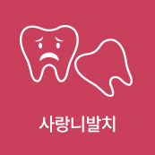 사랑니발치